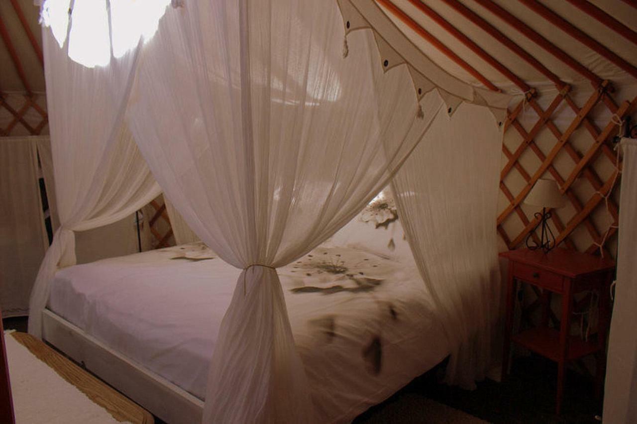 Bed and Breakfast Casa Las Olivas Эль-Чорро Экстерьер фото